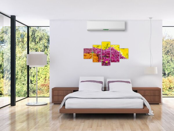 Obraz růžové květiny (125x70 cm)