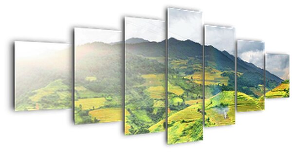 Obraz plantáže (210x100 cm)