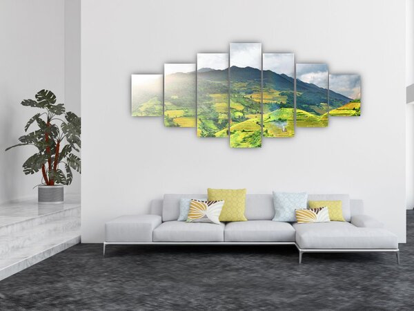 Obraz plantáže (210x100 cm)