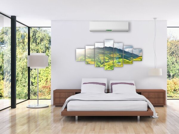 Obraz plantáže (210x100 cm)