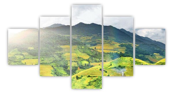 Obraz plantáže (125x70 cm)