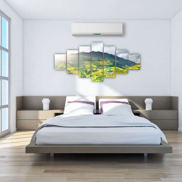 Obraz plantáže (210x100 cm)