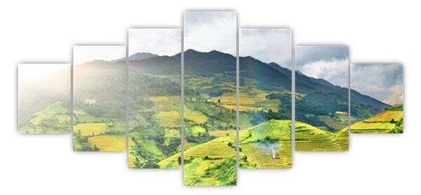 Obraz plantáže (210x100 cm)
