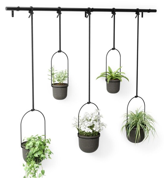 Plastové obaly na květináče v sadě 5 ks na bylinky/závěsné ø 7,5 cm Triflora – Umbra