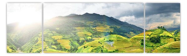 Obraz plantáže (170x50 cm)