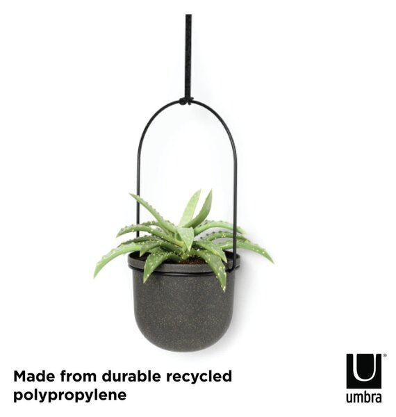 Plastové obaly na květináče v sadě 5 ks na bylinky/závěsné ø 7,5 cm Triflora – Umbra