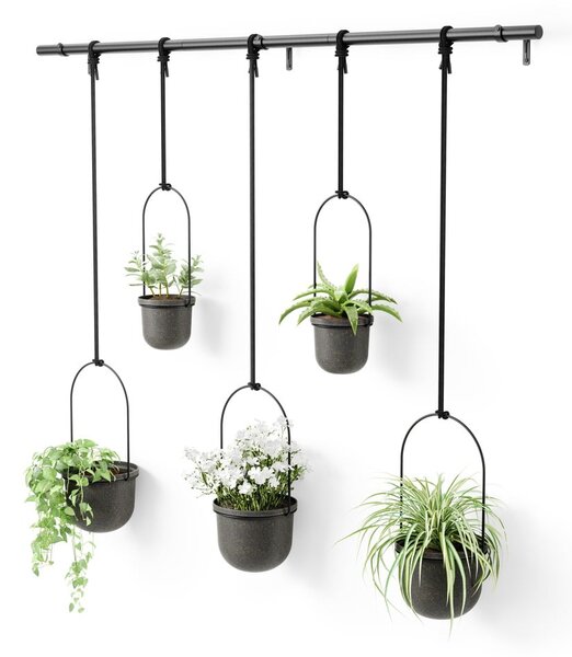 Plastové obaly na květináče v sadě 5 ks na bylinky/závěsné ø 7,5 cm Triflora – Umbra