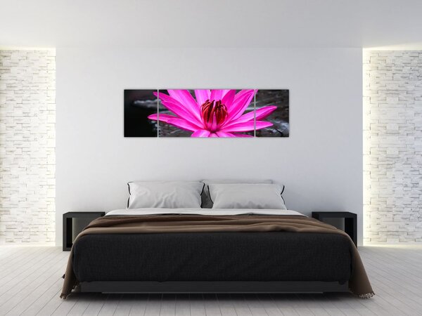 Obraz - růžový květ (170x50 cm)