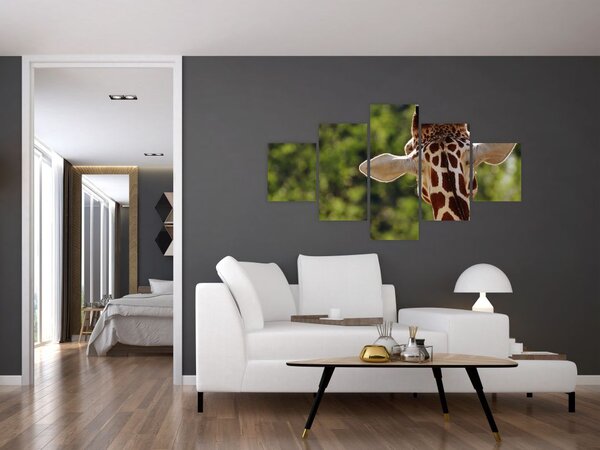 Obraz žirafy zezadu (125x70 cm)