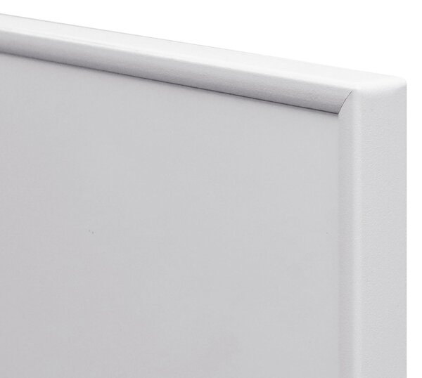 Nástěnný infrapanel Economy 170W | Výhřevnost 3 m2 | 60x30 cm | Bez termostatu