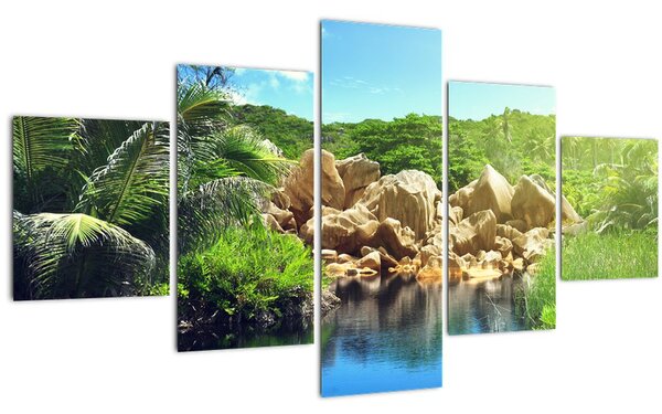 Obraz jezera v Seychelské džungli (125x70 cm)