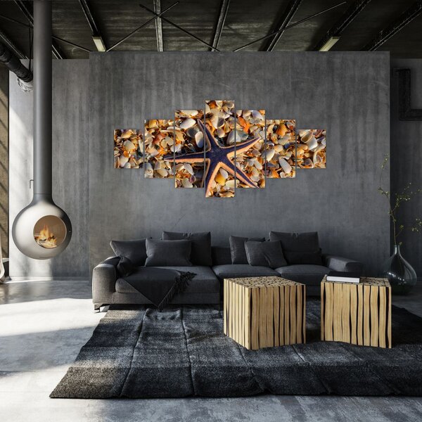 Obraz mořské hvězdice (210x100 cm)