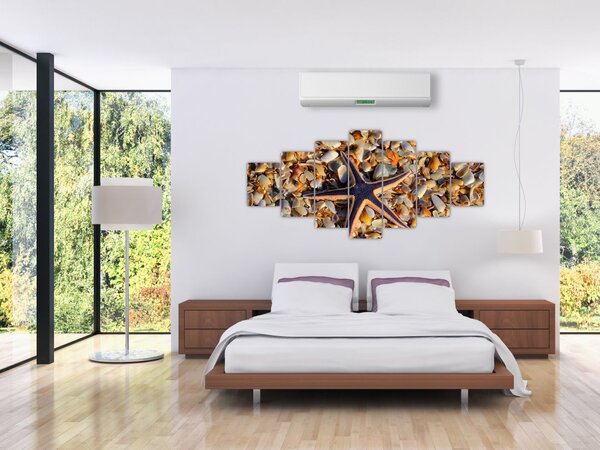Obraz mořské hvězdice (210x100 cm)