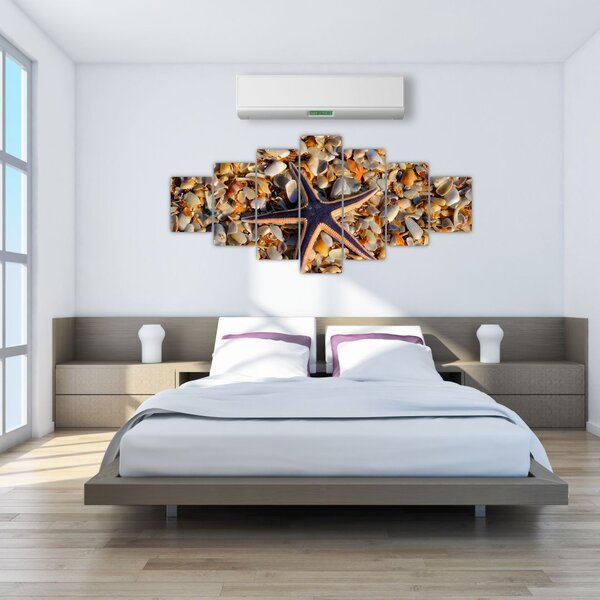 Obraz mořské hvězdice (210x100 cm)
