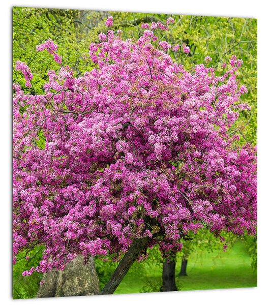 Obraz rozkvetlého stromu na louce (30x30 cm)
