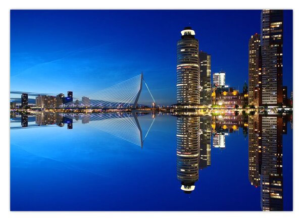 Obraz - noční Rotterdam (70x50 cm)