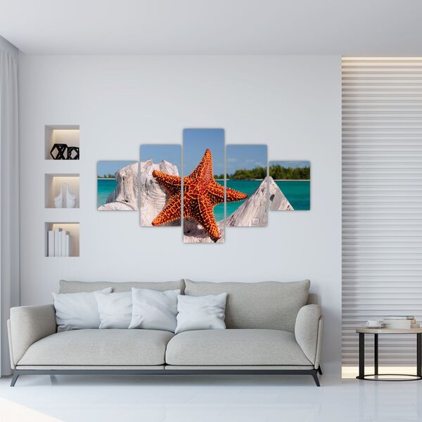 Obraz mořské hvězdice (125x70 cm)
