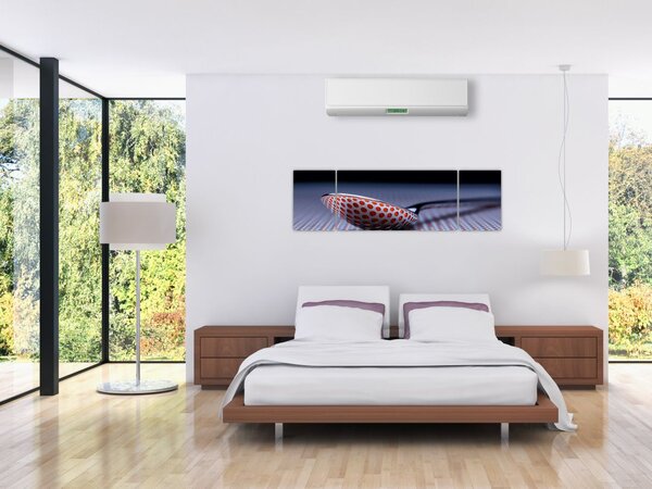 Obraz odrazu (170x50 cm)