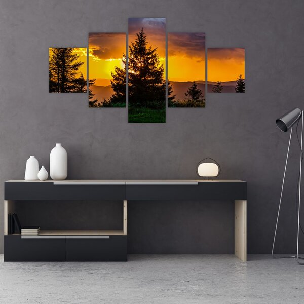 Obraz - jehličnany (125x70 cm)