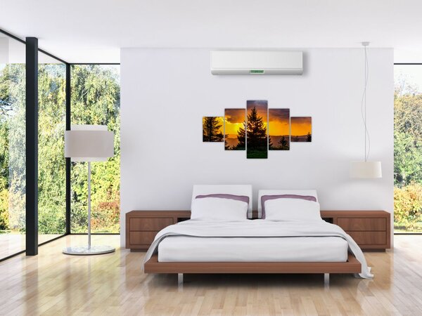 Obraz - jehličnany (125x70 cm)