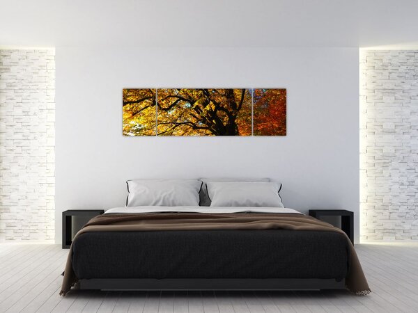 Obraz podzimu (170x50 cm)