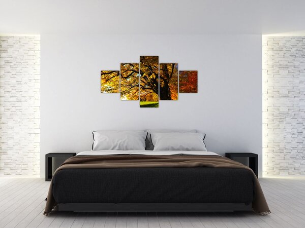 Obraz podzimu (125x70 cm)