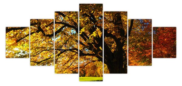 Obraz podzimu (210x100 cm)