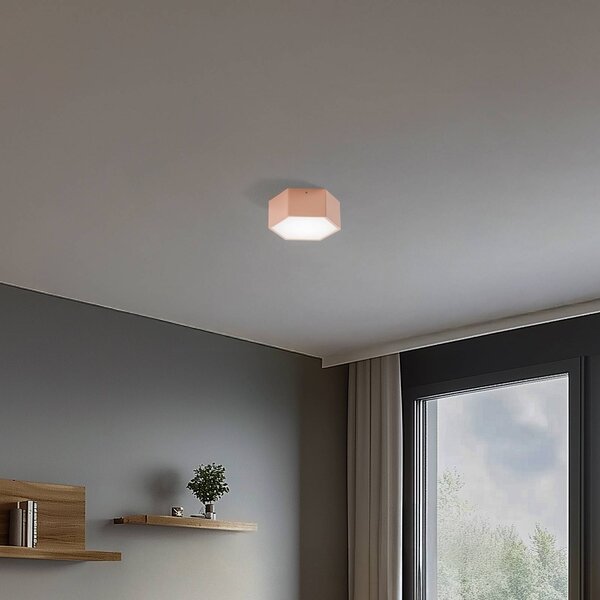 Argon LED stropní svítidlo Libre, broskvová, ocel, 3 000 K, Hnědá / rez, Obývací pokoj / jídelna, kov