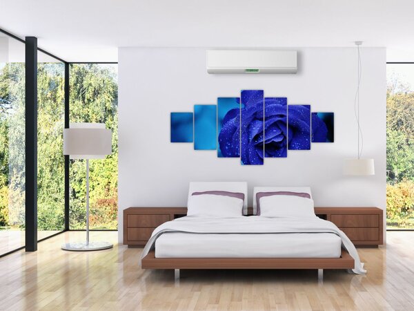 Obraz modré růže (210x100 cm)