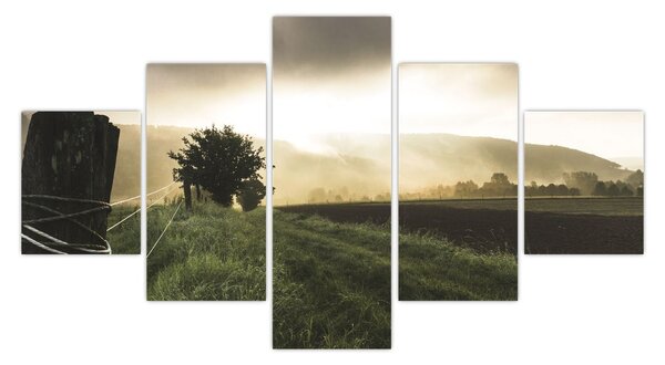Obraz louky (125x70 cm)