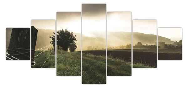 Obraz louky (210x100 cm)