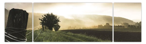 Obraz louky (170x50 cm)