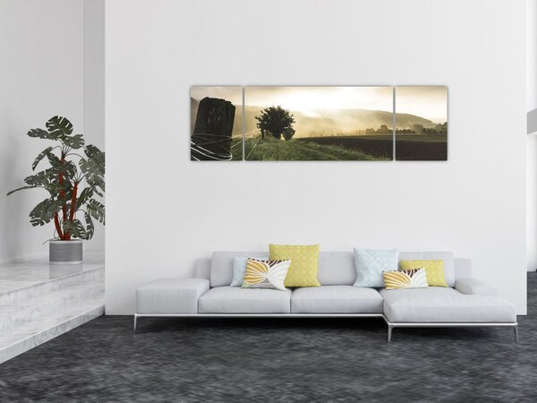 Obraz louky (170x50 cm)