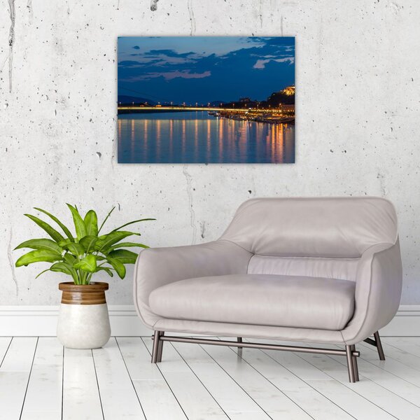 Obraz Bratislavy s hradem (70x50 cm)