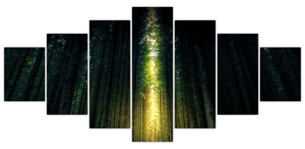 Obraz temného lesa (210x100 cm)