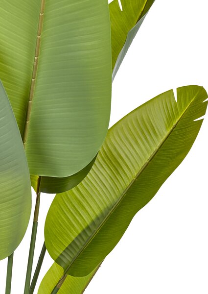Umělá rostlina BANANA TREE 187 cm Zelená
