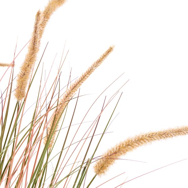 Umělá rostlina BRISTLEGRASS 120 cm Oranžová