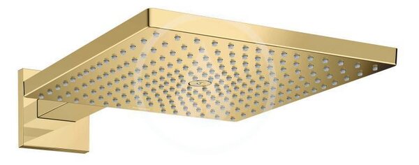 Hansgrohe - Hlavová sprcha E 300 s ramenem, 1 proud, leštěný vzhled zlata
