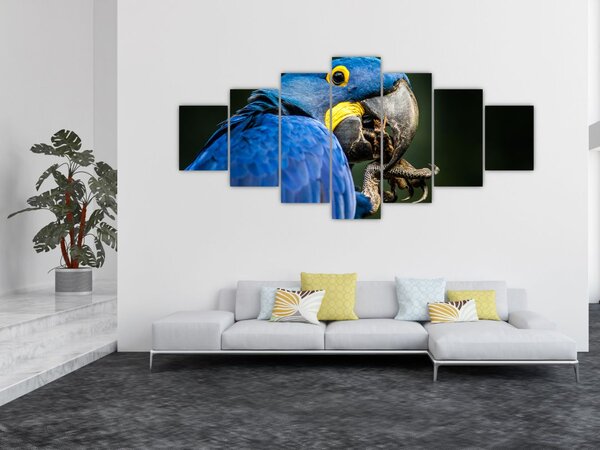 Obraz papouška (210x100 cm)