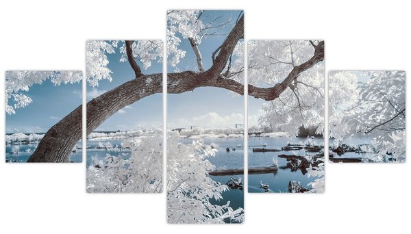Obraz zasněženého stromu u vody (125x70 cm)