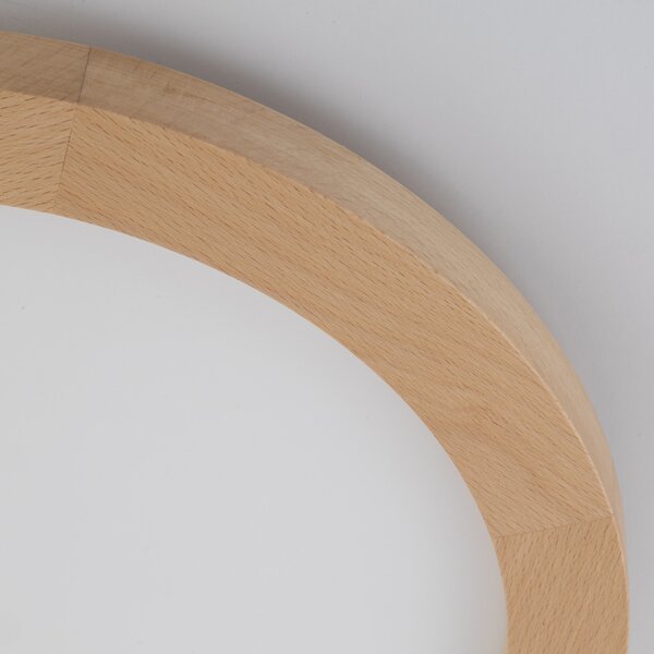 LED svítidlo TK 18011 AQUA WOOD CCT buk IP54