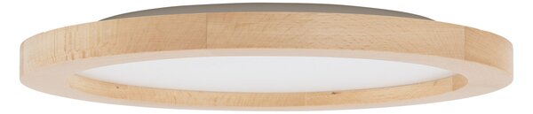 LED svítidlo TK 18011 AQUA WOOD CCT buk IP54