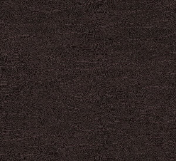 Vliesová tapeta na zeď, vlnky, černo-hnědá, TER003, Terra, The Colour Book II, Masureel