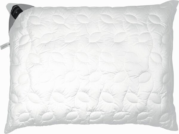 POLŠTÁŘ POD HLAVU, 40/60 cm Billerbeck - Polštáře pod hlavu