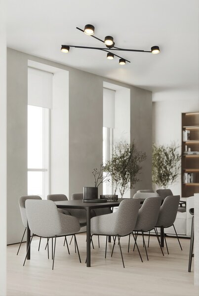 Trio 669000680 přisazené stropní svítidlo CODA | 10W GX53