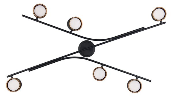 Trio 669000680 přisazené stropní svítidlo CODA | 10W GX53