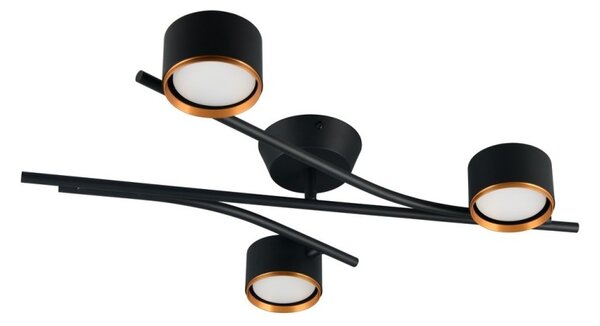Trio 669000380 přisazené stropní svítidlo CODA | 10W GX53