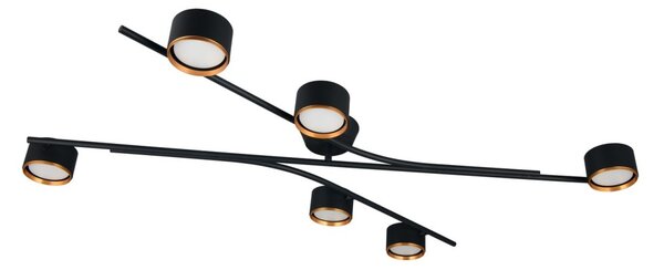 Trio 669000680 přisazené stropní svítidlo CODA | 10W GX53