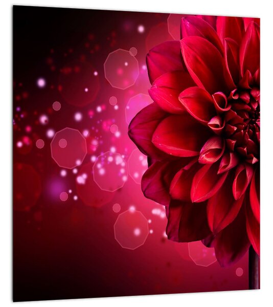 Obraz červené květiny (30x30 cm)