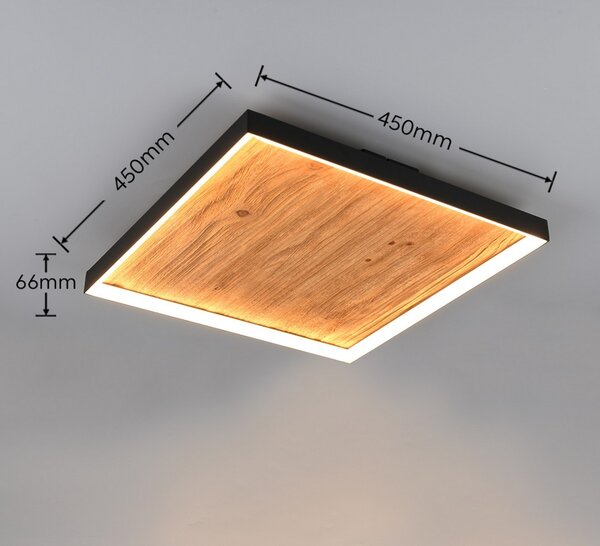 Trio 655510130 LED přisazené stropní svítidlo KALEA | 41W integrovaný LED zdroj | 4800lm | 3000K | Trio - SwitchDimmer